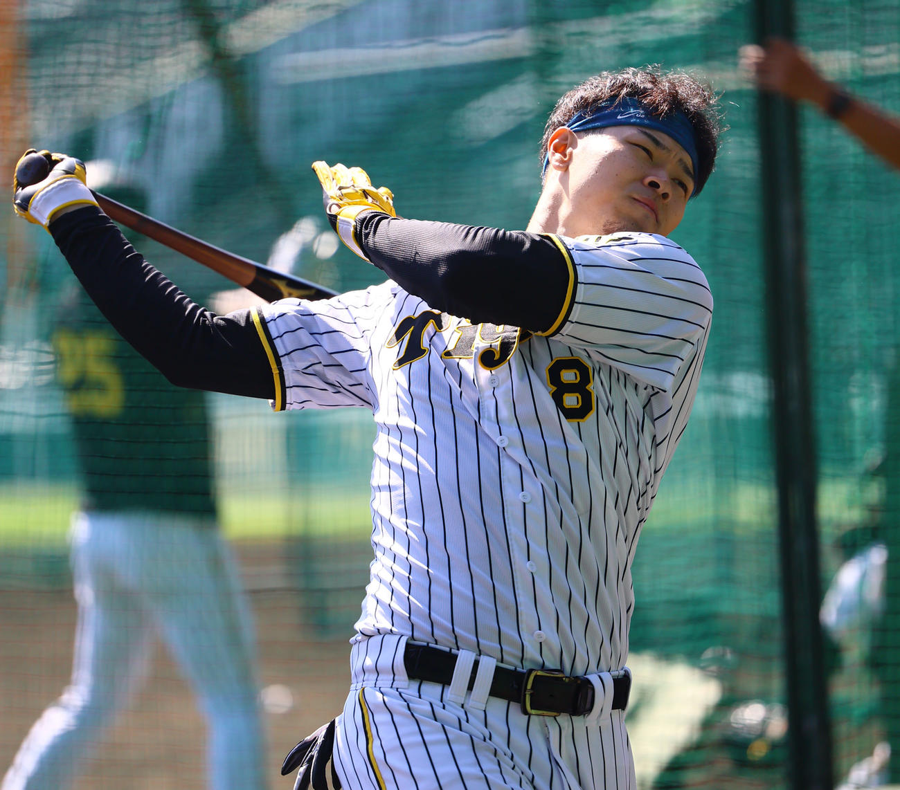 打撃練習する阪神佐藤輝（撮影・藤尾明華）