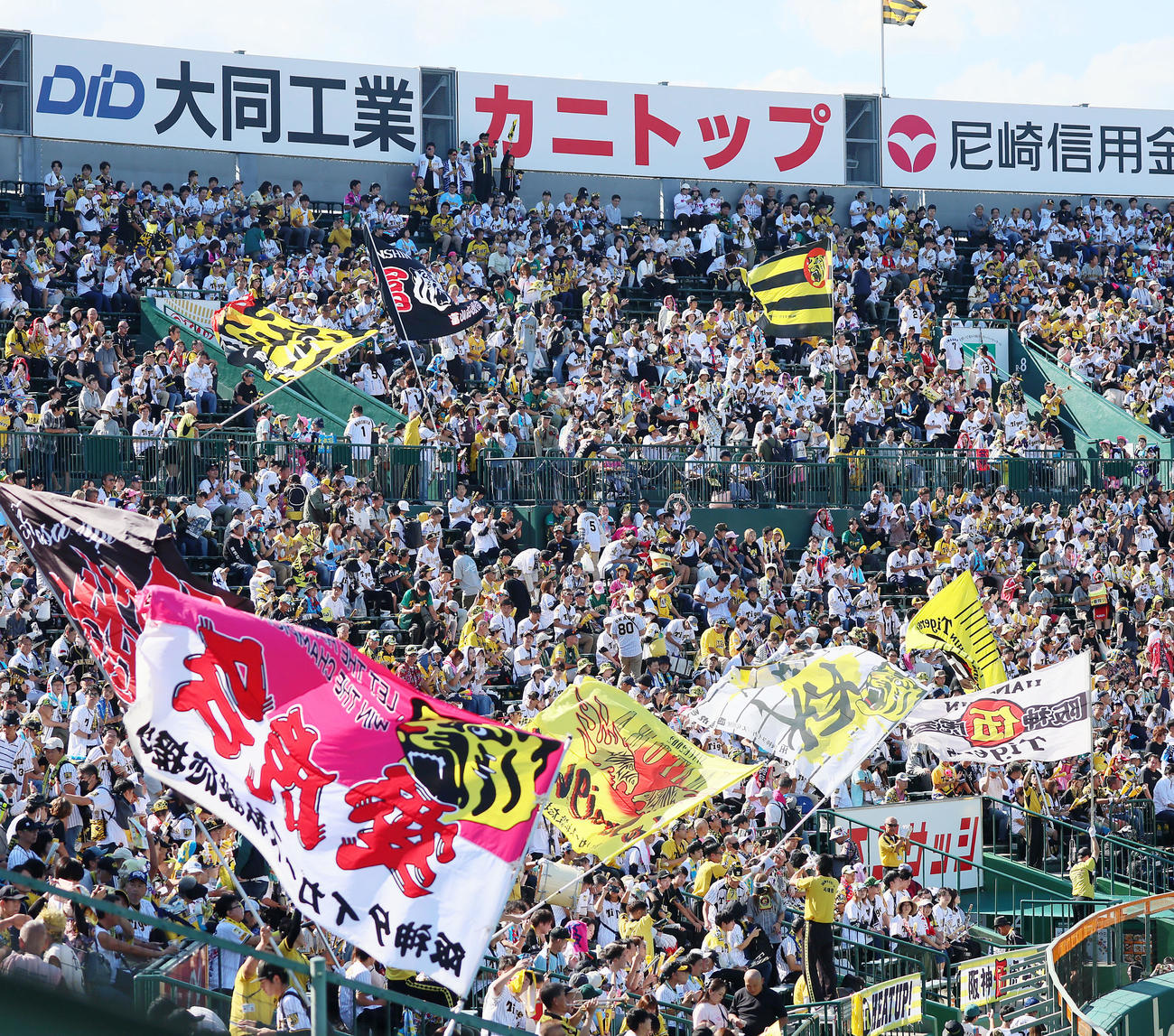 阪神対DeNA　声援を送る阪神ファン（撮影・加藤哉）