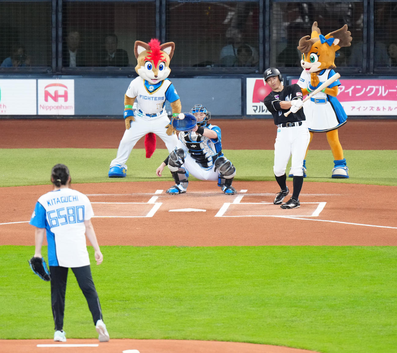 日本ハム対ロッテ　試合前、始球式に臨む陸上やり投げの北口（手前）。打者ロッテ荻野（撮影・江口和貴）