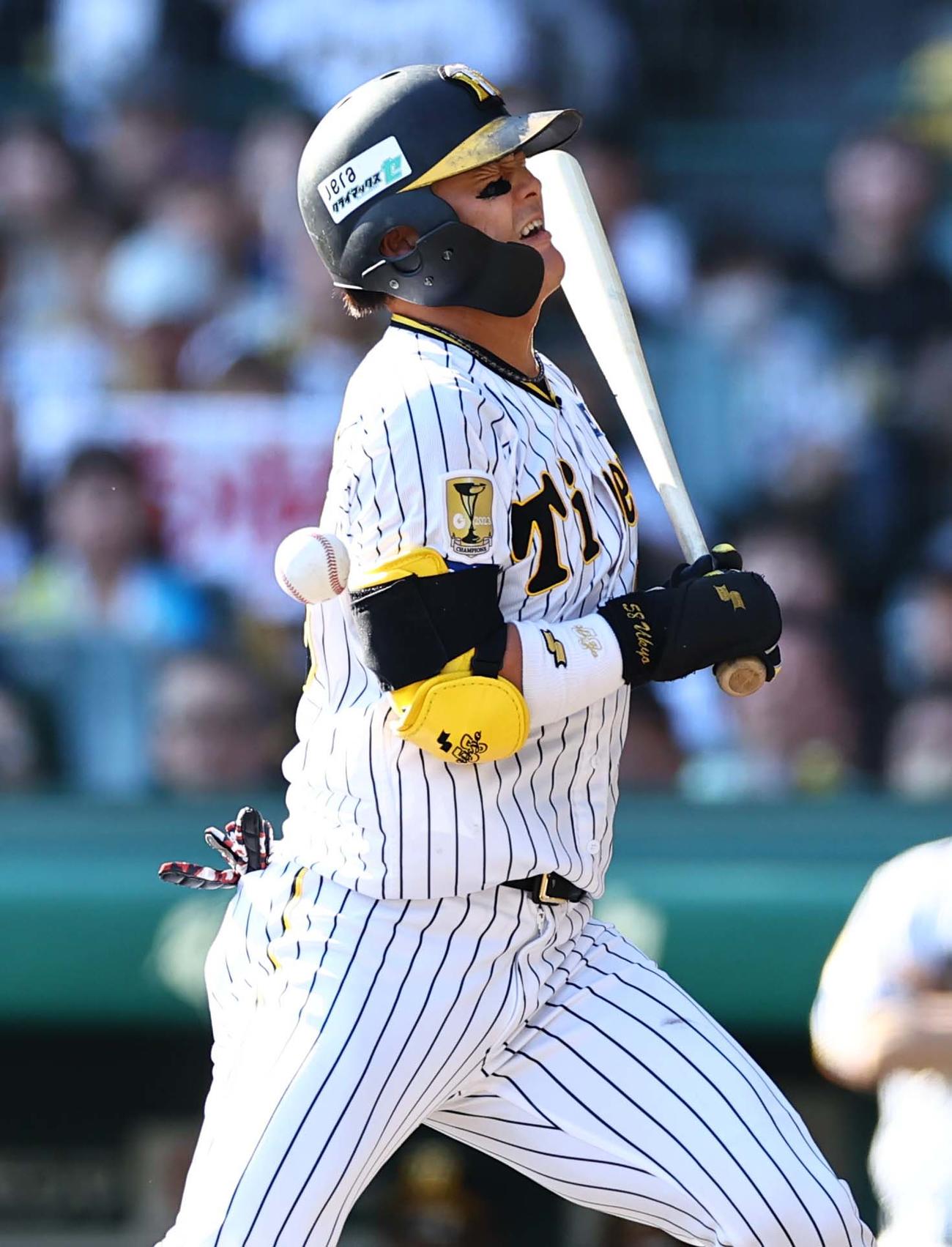 阪神対DeNA 2回裏阪神1死、前川は死球を受ける（撮影・上田博志）