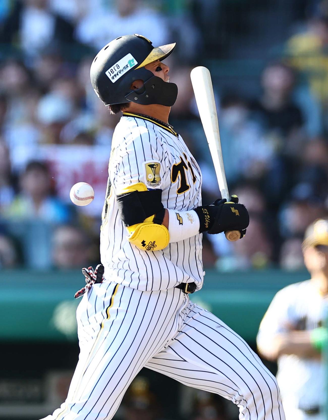 阪神対DeNA 2回裏阪神1死、前川は死球を受ける（撮影・上田博志）