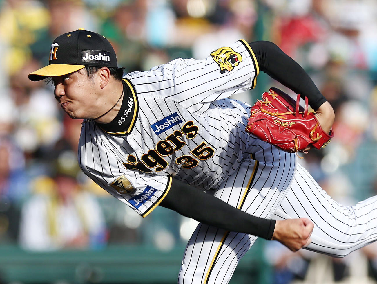 阪神対DeNA 4回表、力投する阪神才木（撮影・前田充）