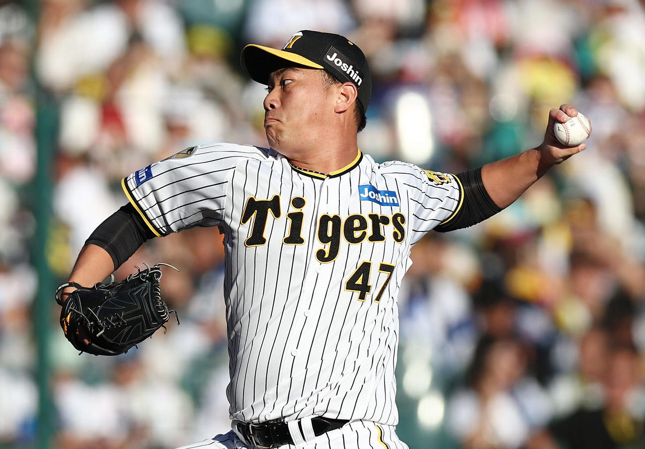 阪神対DeNA　力投する阪神2番手の桐敷（撮影・前田充）