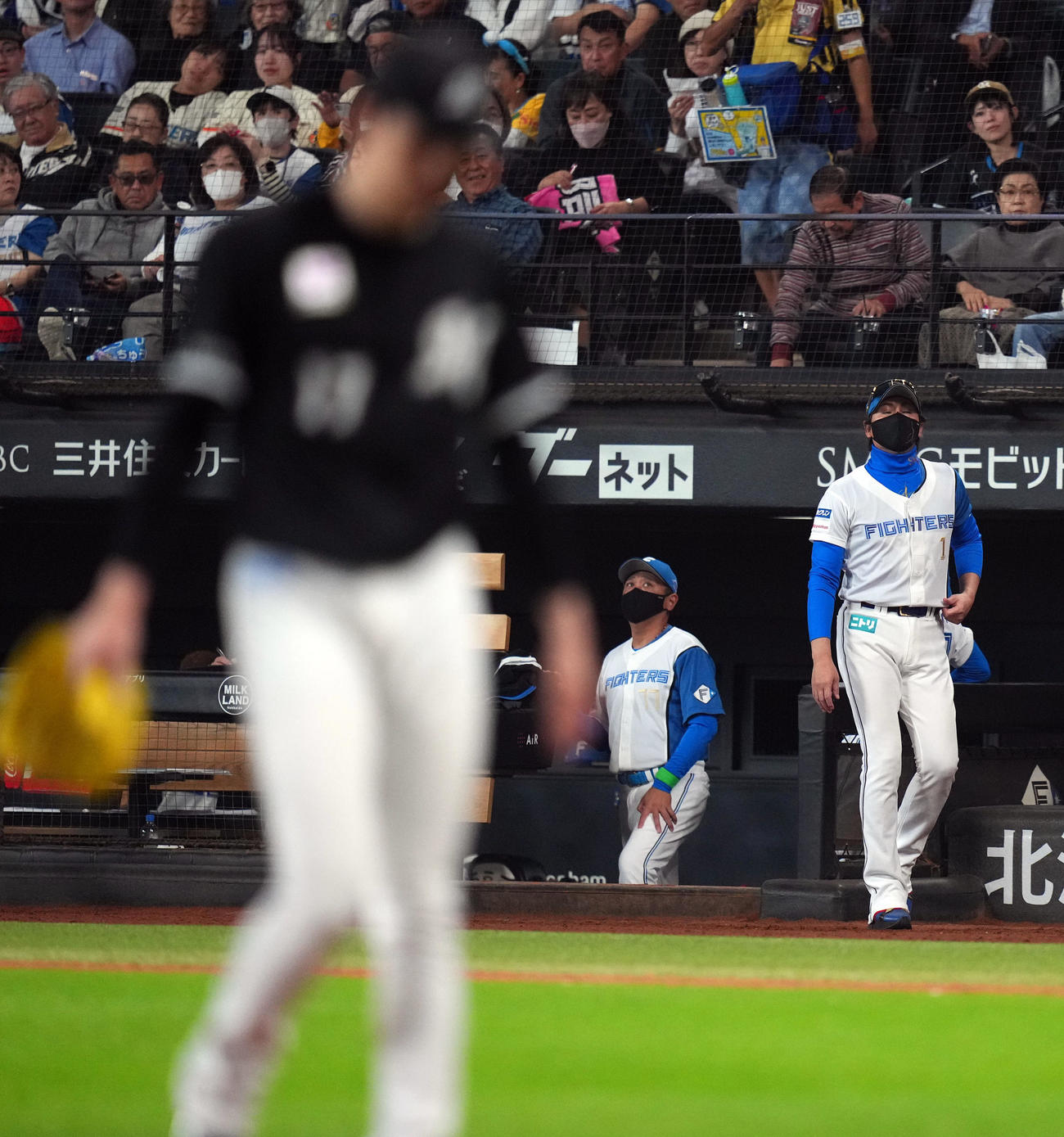 日本ハム対ロッテ　8回裏日本ハム2死一塁、浅間を空振り三振に倒れ、ベンチを出る新庄剛志監督（右）。手前はロッテ先発佐々木（撮影・狩俣裕三）