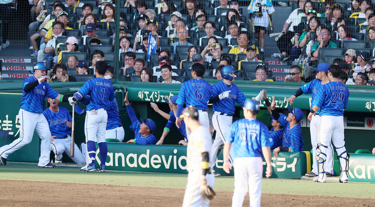 阪神対DeNA 7回表DeNA1死一、三塁、オースティンの右2点適時二塁打で生還しベンチのナインとタッチする牧（左）と佐野（撮影・加藤哉）