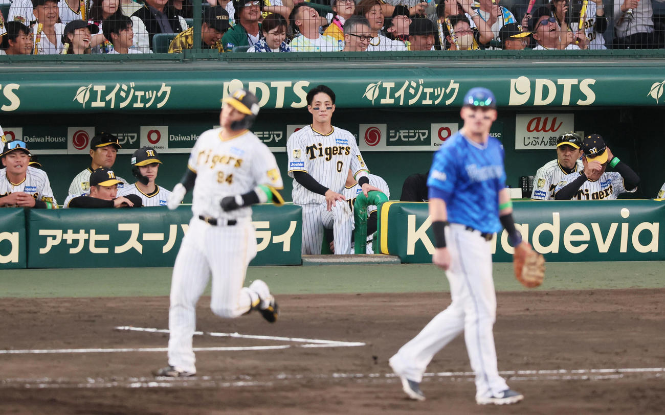 阪神対DeNA 9回裏阪神2死一、三塁、代打原口は左飛を打ち上げて試合終了となりベンチでグラウンドを見つめる木浪と右から2人目は岡田監督（撮影・加藤哉）