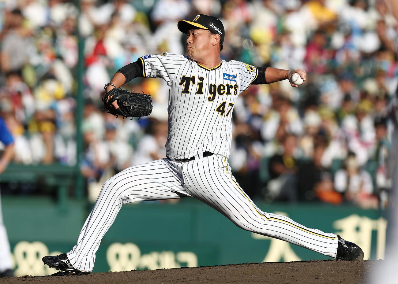 阪神対DeNA　力投する阪神2番手の桐敷（撮影・前田充）
