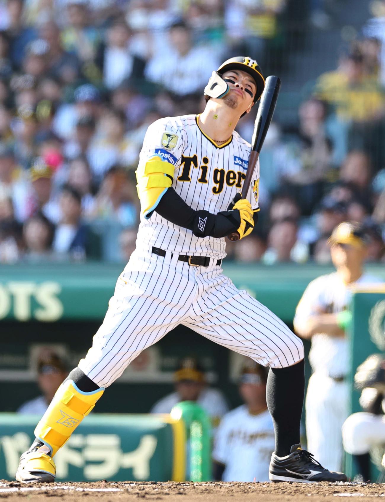 阪神対DeNA 2回裏阪神無死、佐藤輝は見逃し三振に倒れる（撮影・上田博志）