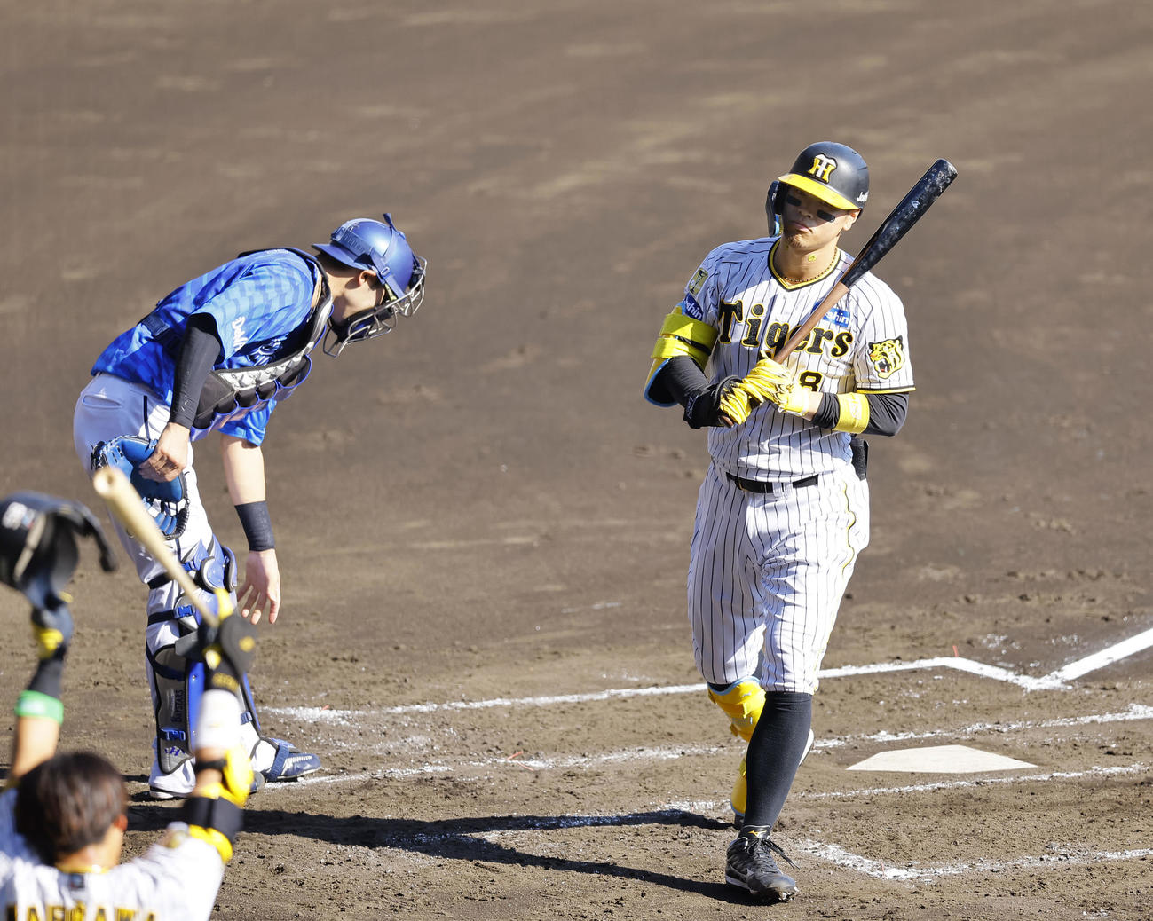 阪神対DeNA 2回裏阪神無死、佐藤輝は三振に倒れる（撮影・藤尾明華）