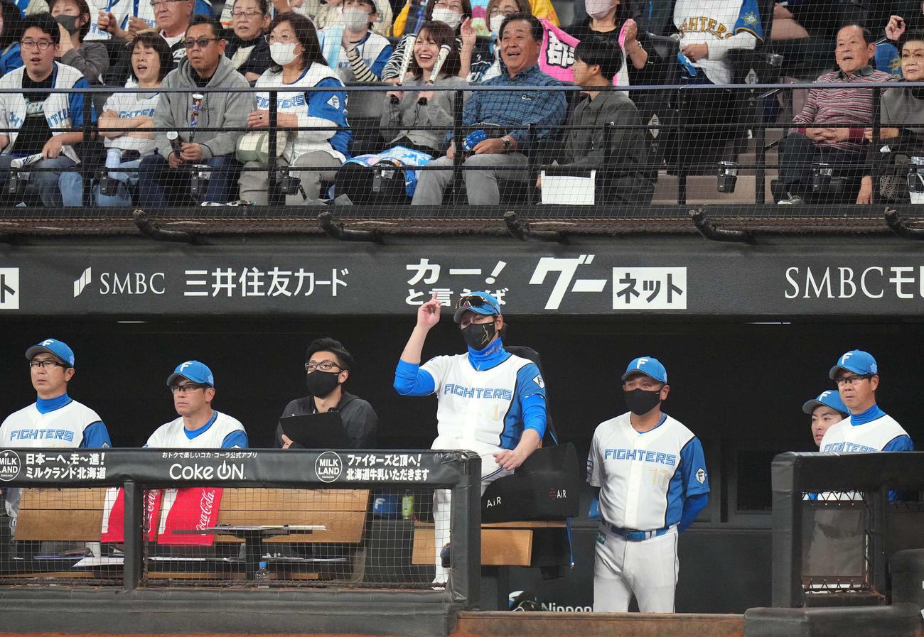 日本ハム対ロッテ　最後の打者郡司が左飛に倒れ、悔しそうな表情を見せる新庄監督（中央）ら日本ハムベンチ（撮影・狩俣裕三）