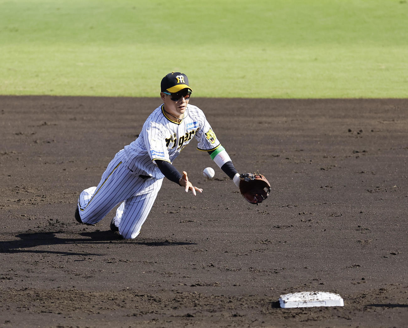 阪神対DeNA 2回表DeNA無死一塁、伊藤の遊ゴロで二塁手へトスする木浪（撮影・藤尾明華）