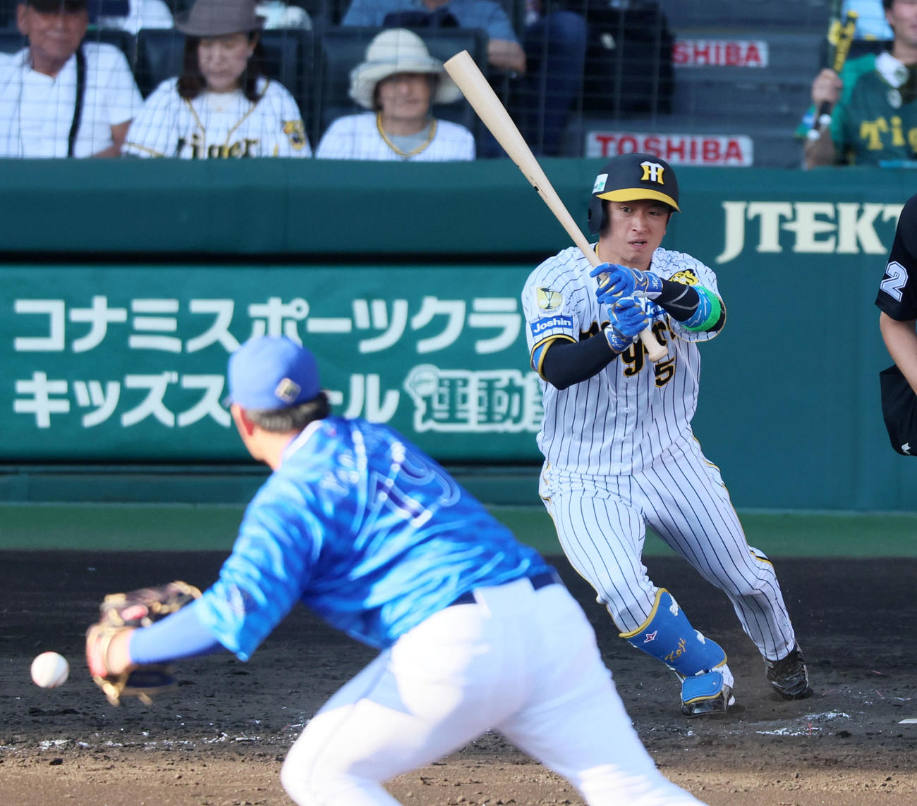 阪神対DeNA 5回裏阪神2死、二ゴロに倒れる近本。投手山崎（撮影・加藤哉）