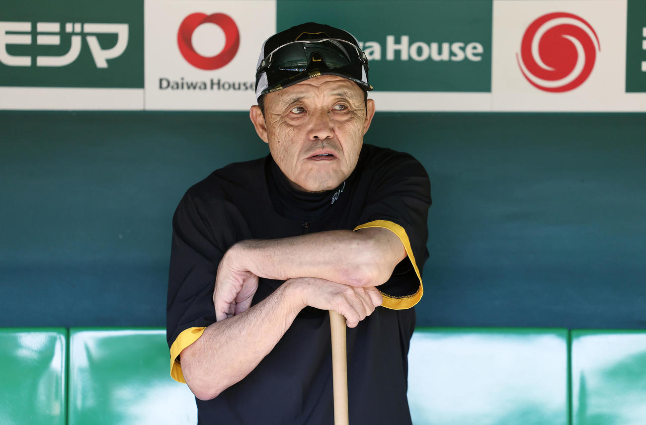 阪神対DeNA　試合前練習を見守る阪神岡田監督（撮影・前田充）
