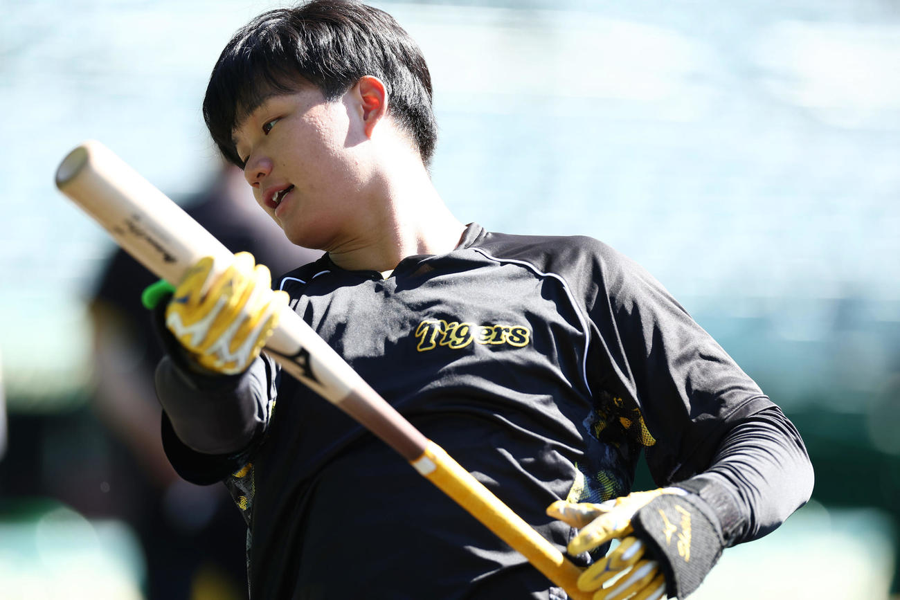 阪神対DeNA　試合前練習に臨む阪神森下（撮影・前田充）