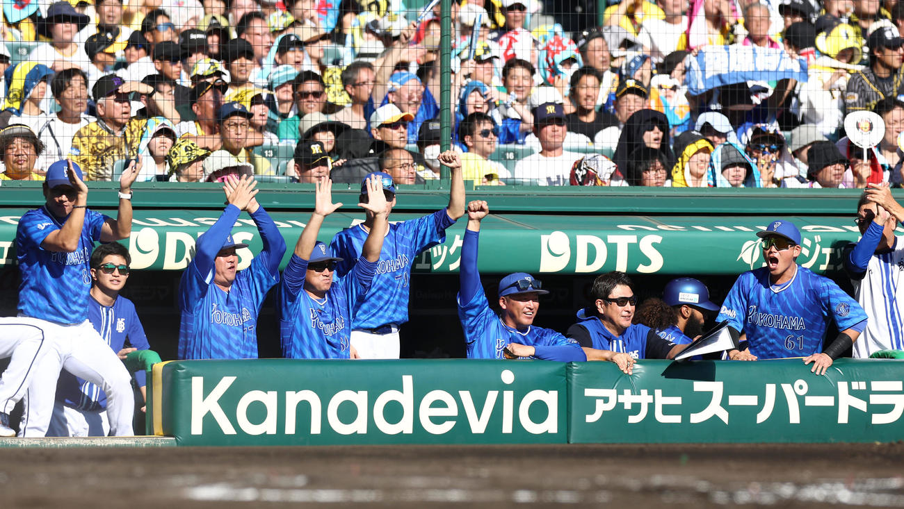 阪神対DeNA 2回表DeNA無死満塁、戸柱の3点適時二塁打で逆転し、喜ぶ三浦監督（左端）ら（撮影・前田充）