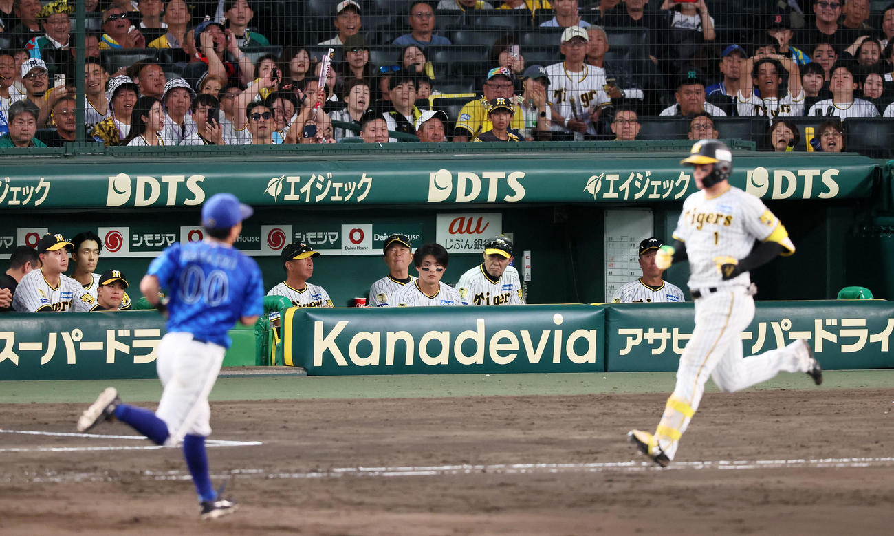 阪神対DeNA 9回裏阪神2死一塁、森下が二ゴロを打って試合終了となり、ベンチからは岡田監督がじっとグラウンドを見つめる（撮影・加藤哉）