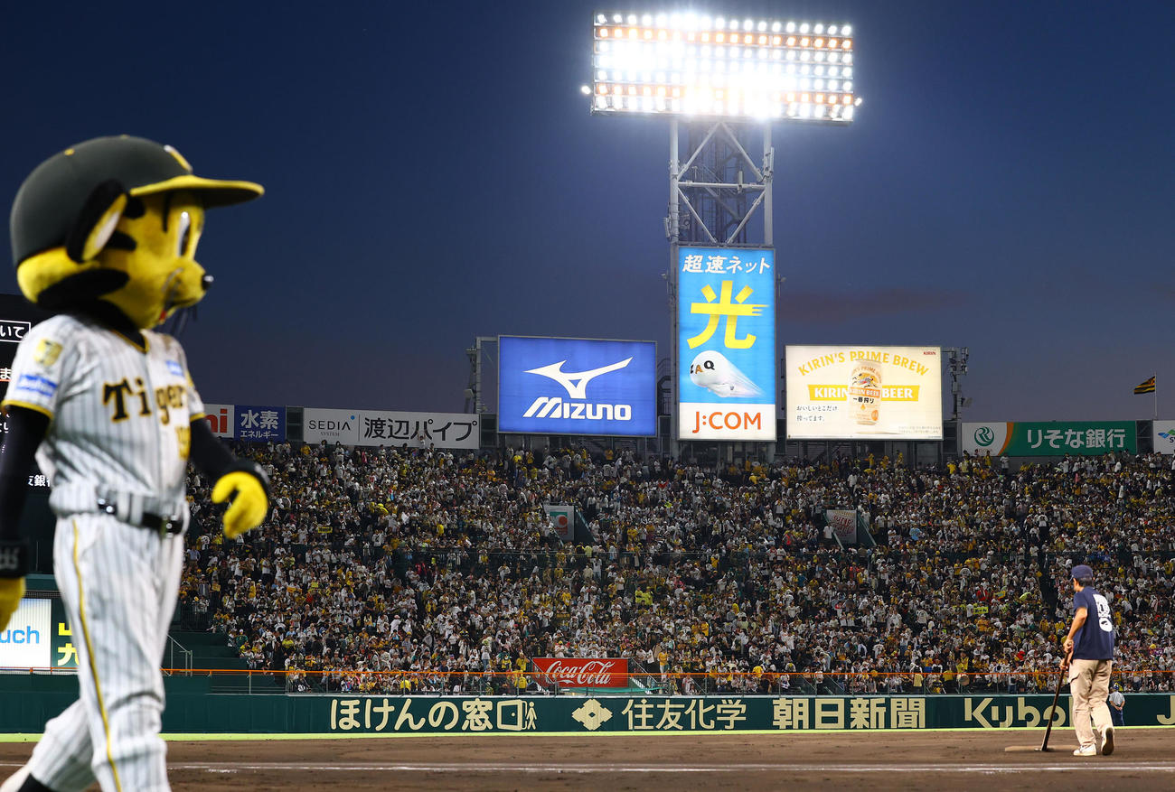 阪神対DeNA　試合が終わっても帰らずに、スタンドを埋め尽くす阪神ファン（撮影・藤尾明華）