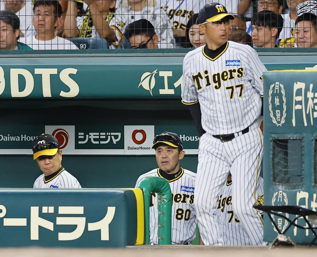 阪神対DeNA DeNAに敗れベンチから見届ける阪神岡田監督（中央）（撮影・藤尾明華）