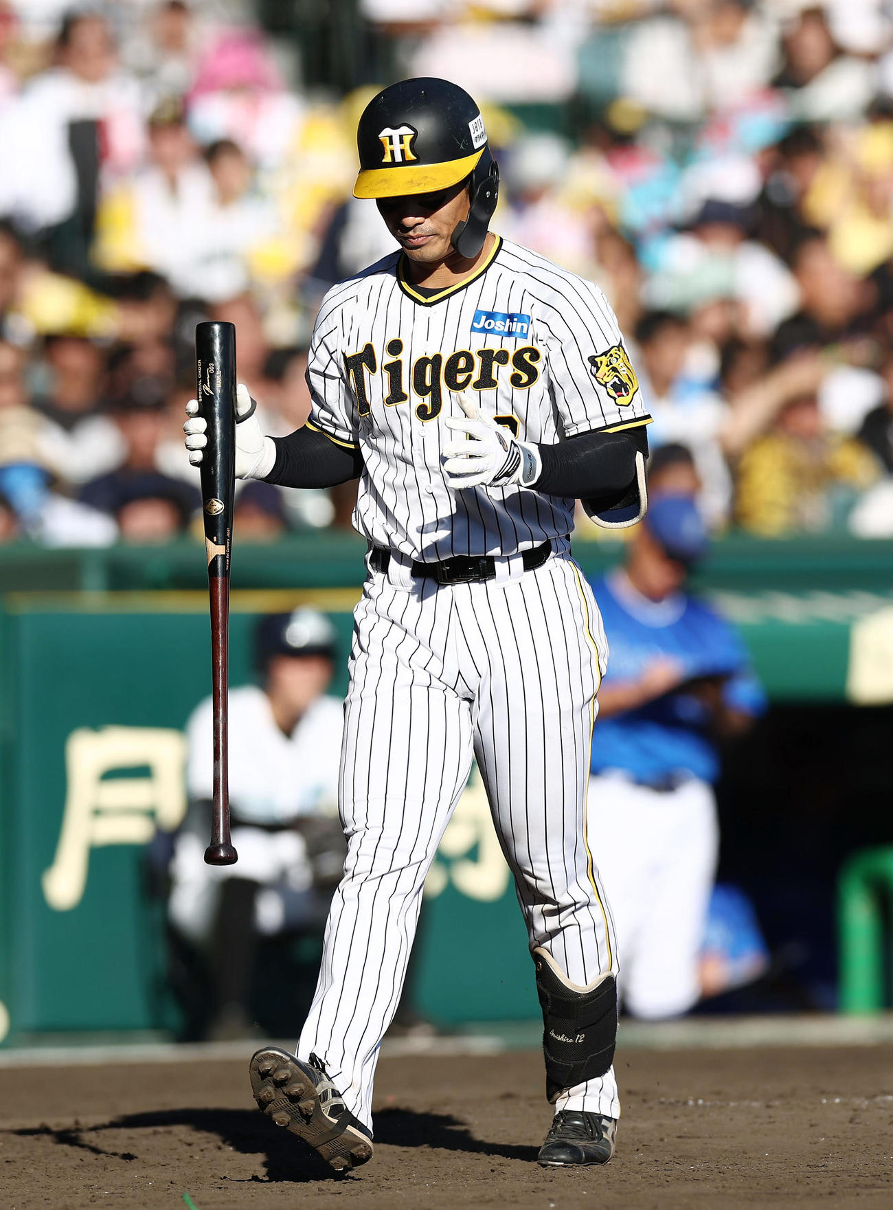 阪神対DeNA 4回裏阪神1死二塁、空振り三振に倒れる坂本（撮影・前田充）