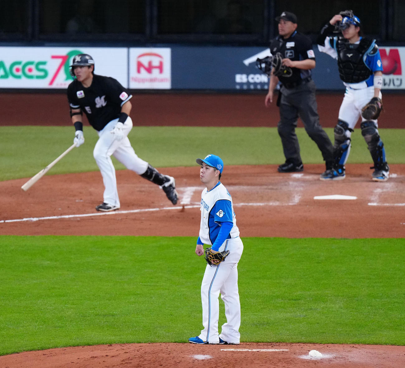 日本ハム対ロッテ　5回表ロッテ2死、安田（後方左）に先制ソロ本塁打を浴びる金村（撮影・江口和貴）