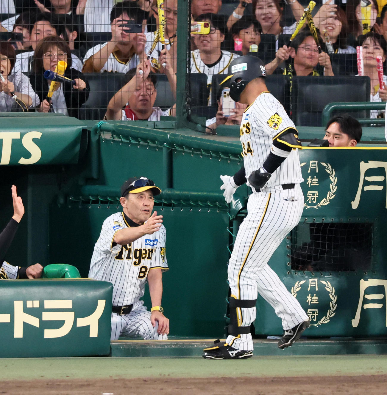 阪神対DeNA　9回裏阪神1死、代打原口は左越えソロ本塁打を放ち岡田監督（左）がベンチで出迎える（撮影・加藤哉）