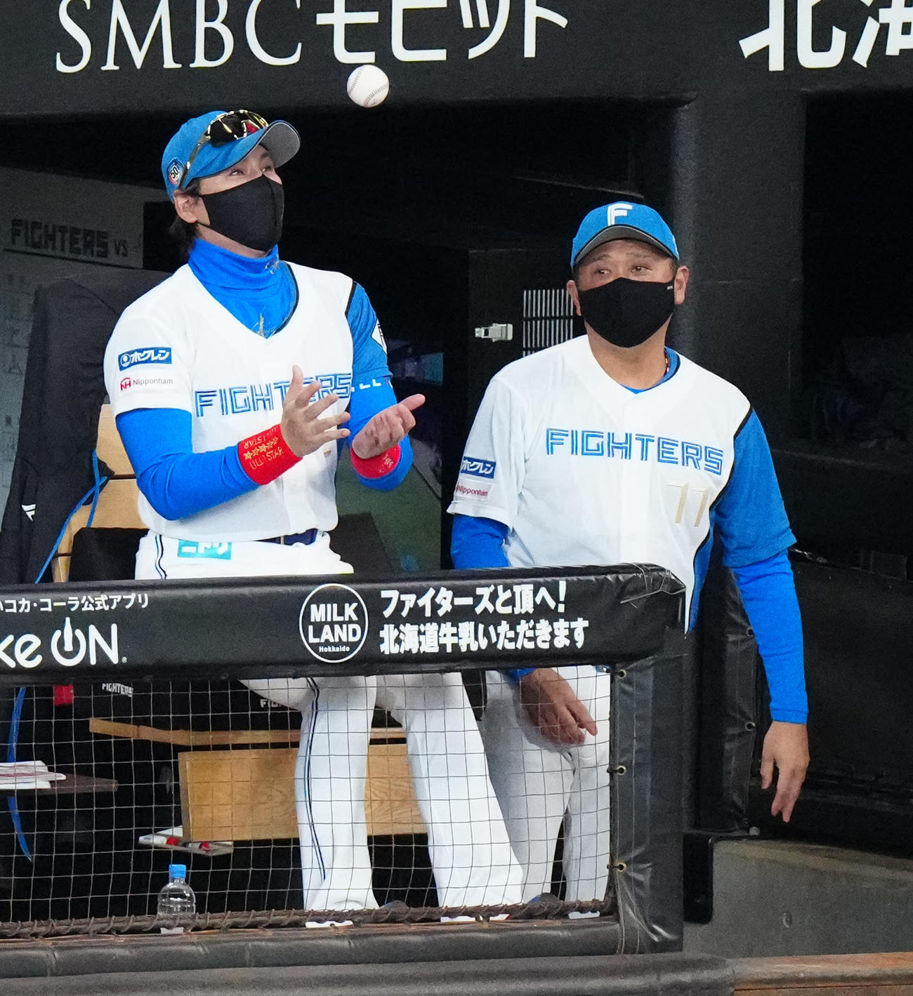 日本ハム対ロッテ　7回裏、ベンチでボールを宙に舞わせる日本ハム新庄監督（左）（撮影・江口和貴）