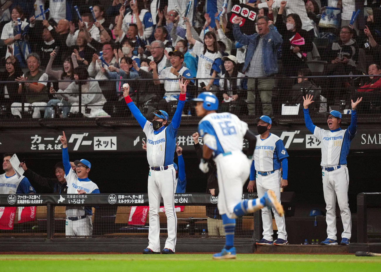 日本ハム対ロッテ　9回裏日本ハム1死、万波（手前）がソロ本塁打を放ち、ベンチを出てバンザイし喜ぶ新庄監督（撮影・狩俣裕三）