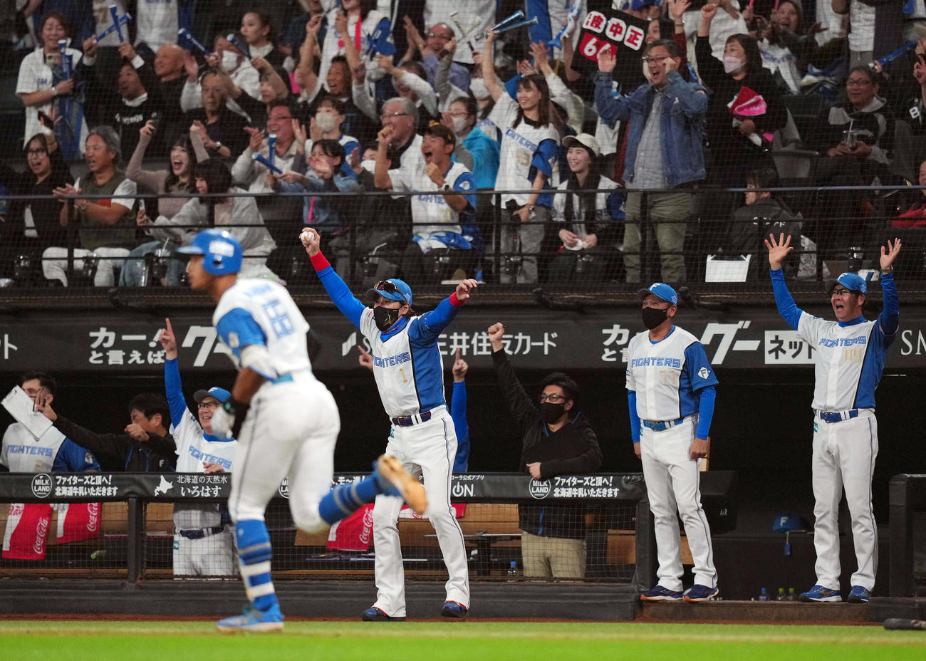 日本ハム対ロッテ　9回裏日本ハム1死、万波（手前）がソロ本塁打を放ち、ベンチを出てバンザイし喜ぶ新庄監督（撮影・狩俣裕三）