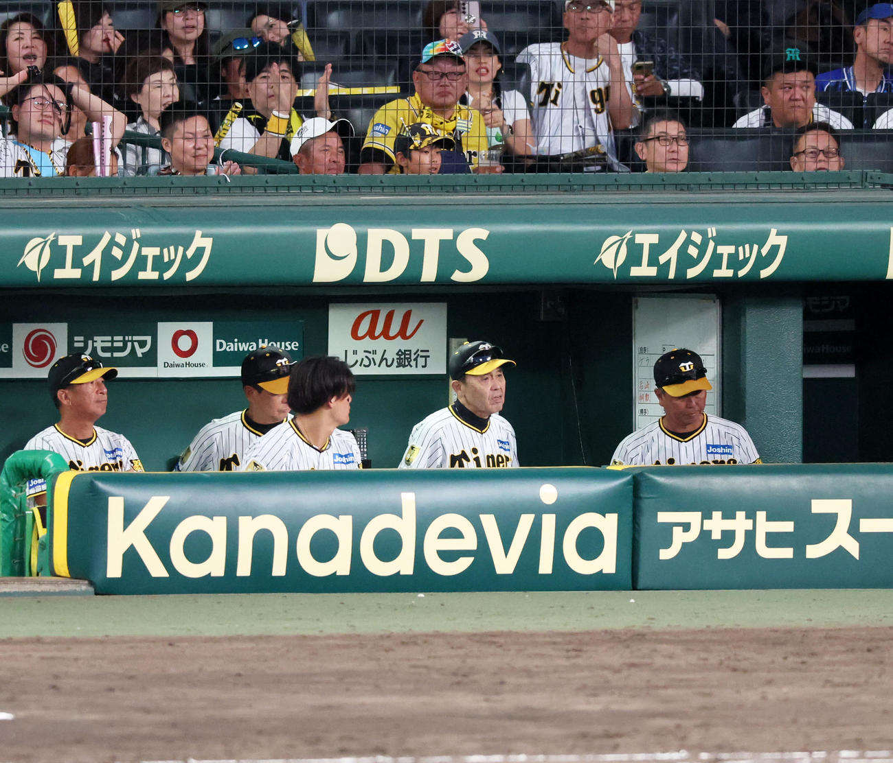 阪神対DeNA DeNAに連敗しベンチを引き揚げる岡田監督（撮影・加藤哉）