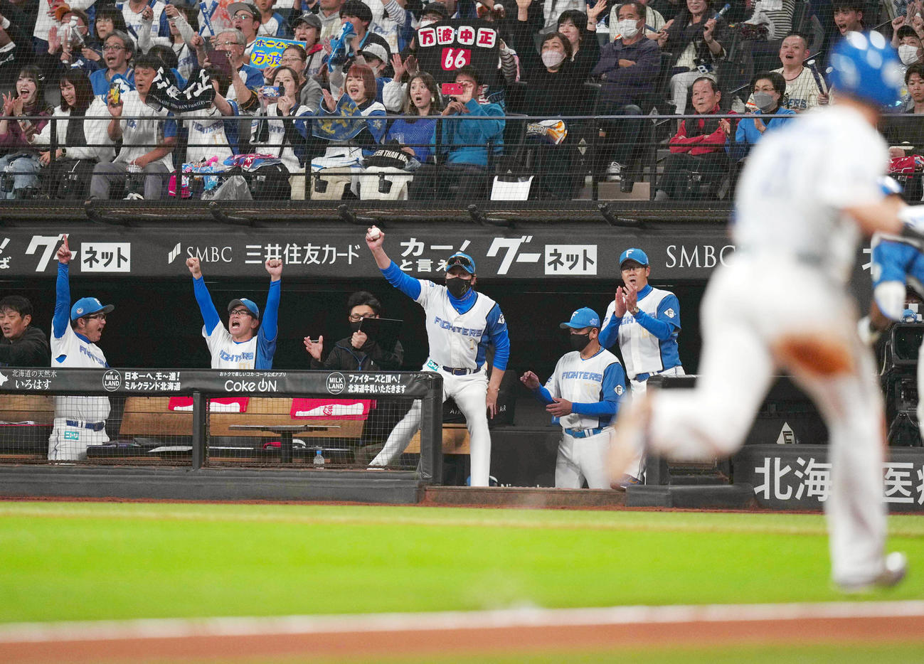 日本ハム対ロッテ　7回裏日本ハム2死三塁、万波が適時打を放つと、「幸運球」を右手で掲げ、ベンチを飛び出し喜ぶ新庄監督（撮影・狩俣裕三）