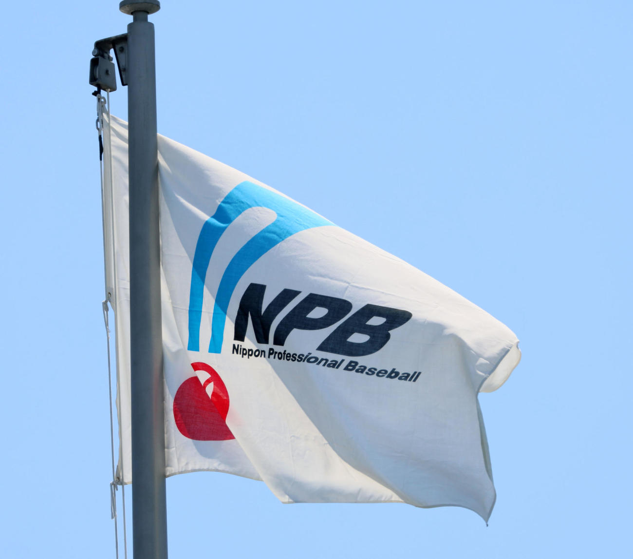 NPB旗
