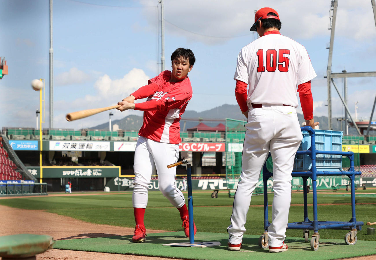 ティー打撃練習をする広島小園（撮影・加藤孝規）