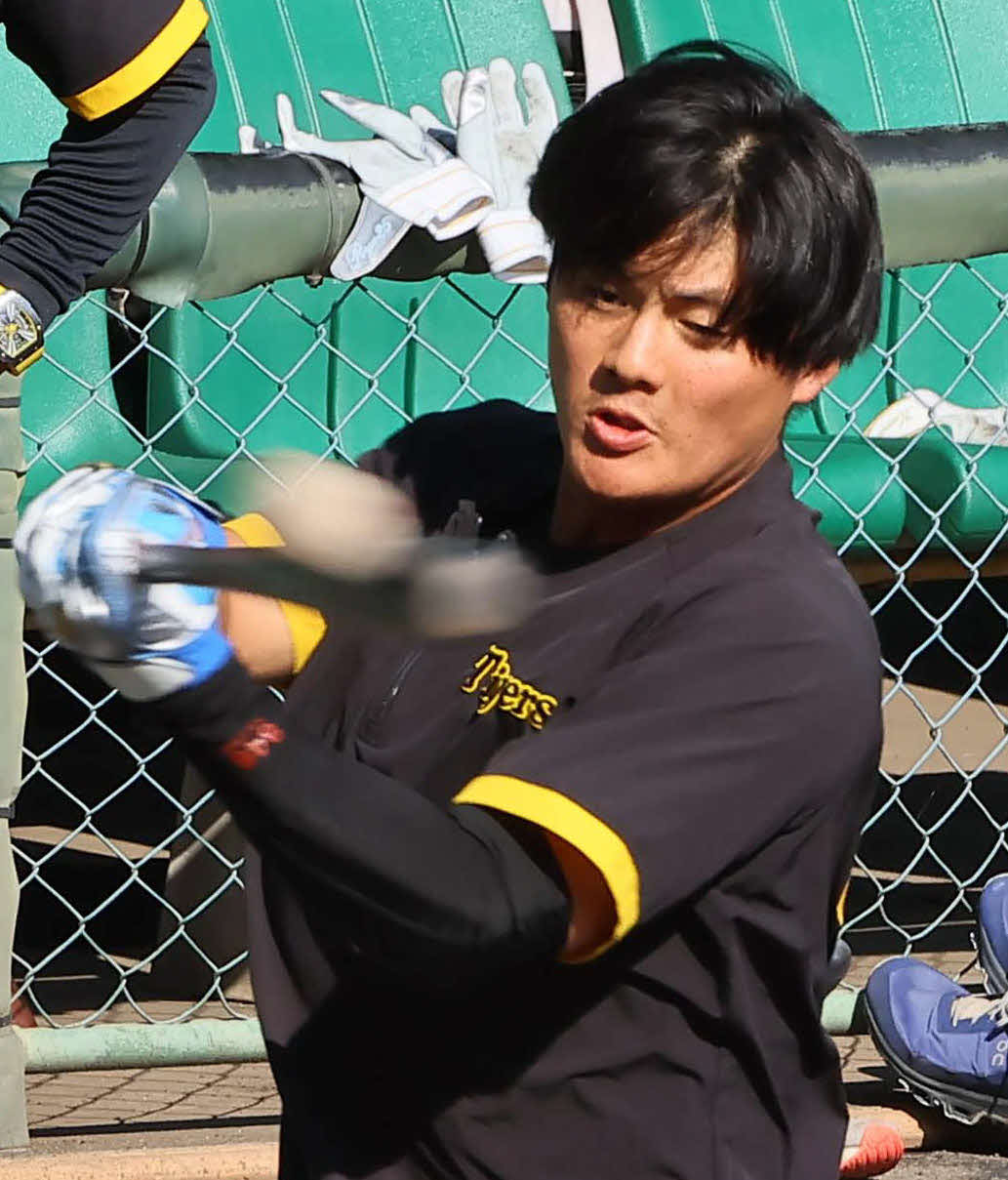 23年の秋季キャンプでリストターン打撃練習に取り組んだ阪神前川