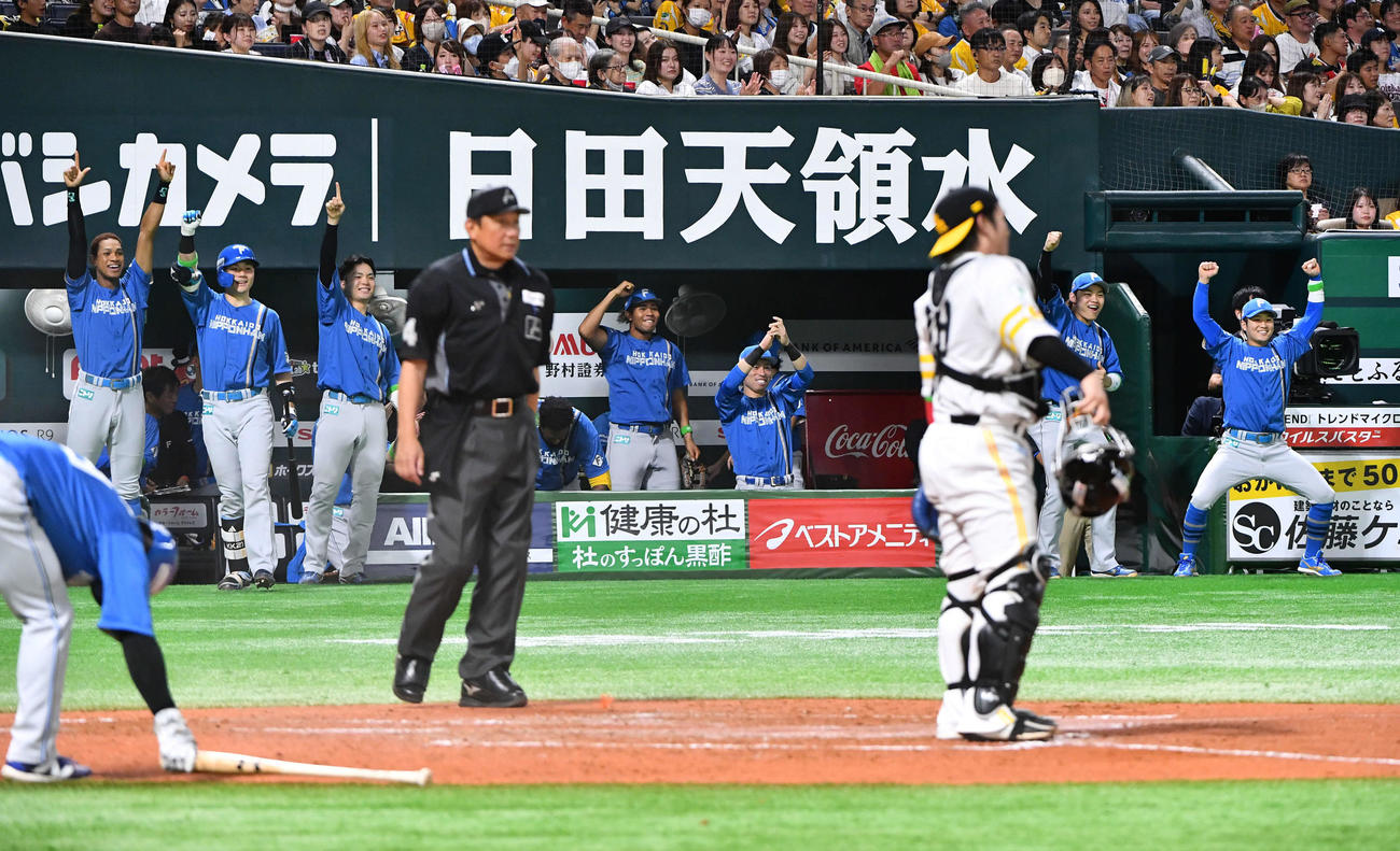 ソフトバンク対日本ハム　3回表日本ハム1死二、三塁、矢沢が三塁適時内野安打を放ち、歓喜する日本ハムナイン（撮影・岩下翔太）