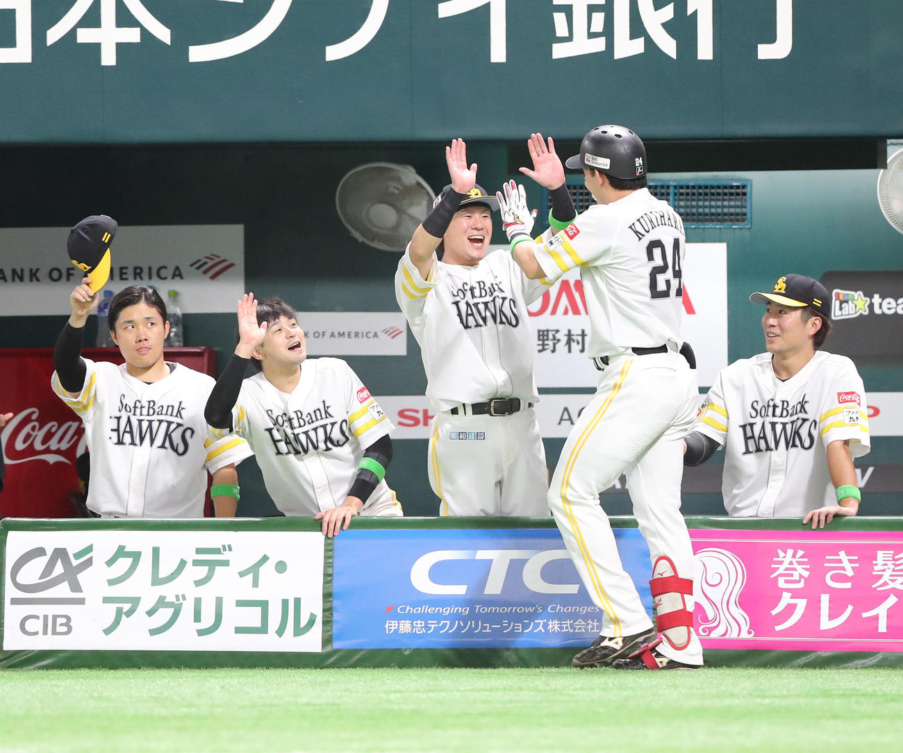 ソフトバンク対日本ハム　5回裏ソフトバンク1死、栗原は右越え本塁打を放ちベンチのナインとタッチ（撮影・鬼束羽瑠菜）
