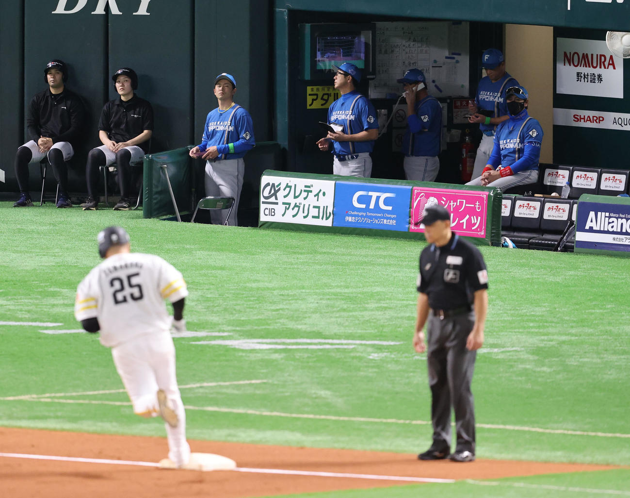 ソフトバンク対日本ハム　8回裏ソフトバンク無死、左越えに本塁打を放った山川を見つめる新庄監督（撮影・梅根麻紀）