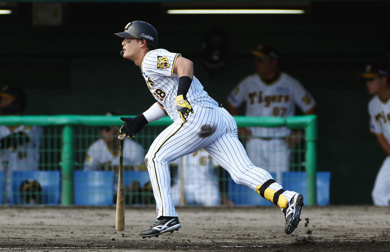 フェニックスリーグ　阪神対DeNA 6回裏阪神無死一、二塁、右越え3点本塁打を放つ前川（撮影・前田充）