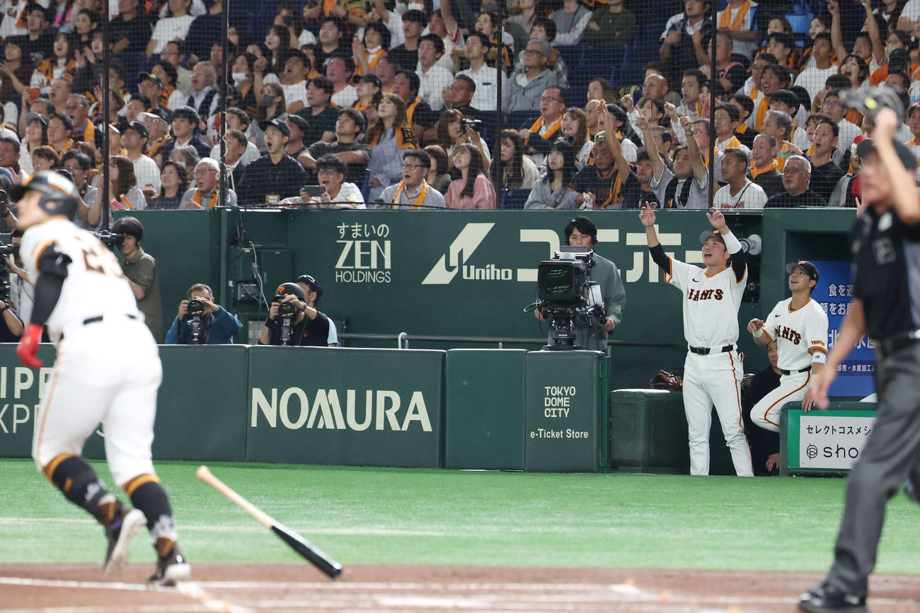 巨人対DeNA 2回裏巨人無死、岡本和の左越え先制ソロ本塁打をベンチから喜ぶ坂本（右から2人目）ら（撮影・宮地輝）