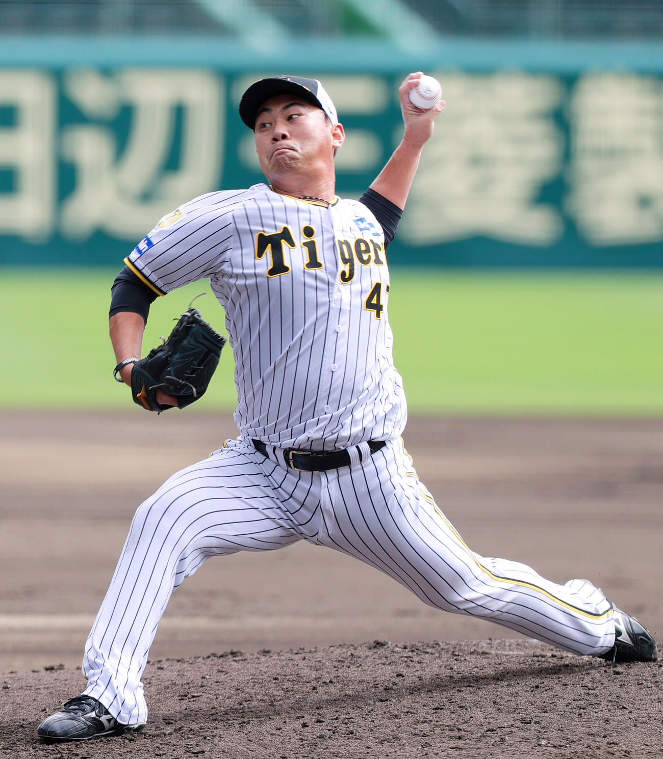 阪神桐敷拓馬（2024年10月8日撮影）