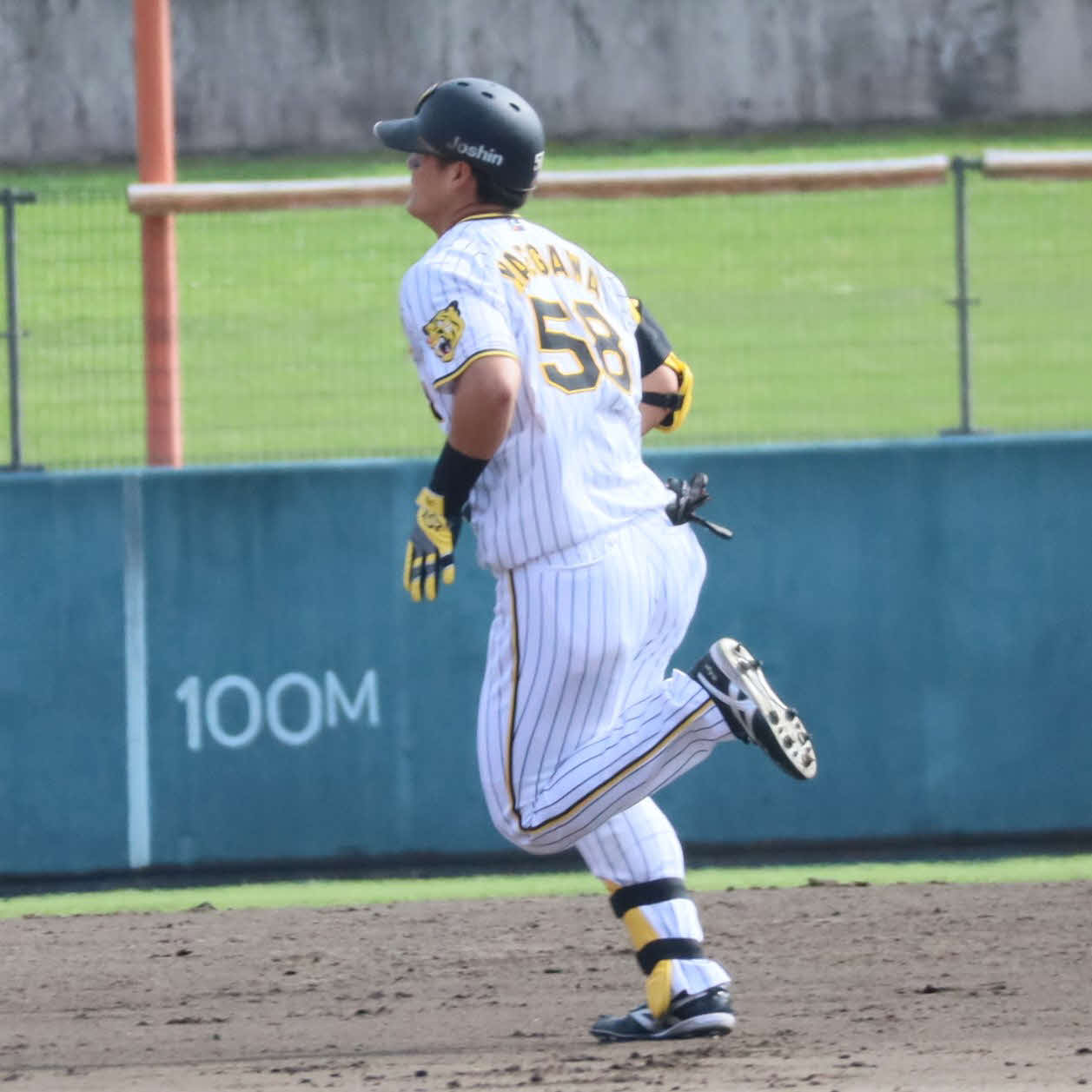 フェニックス・リーグ巨人戦で5回に2ランを放ち、ダイヤモンドを走る阪神前川（撮影・村松万里子）