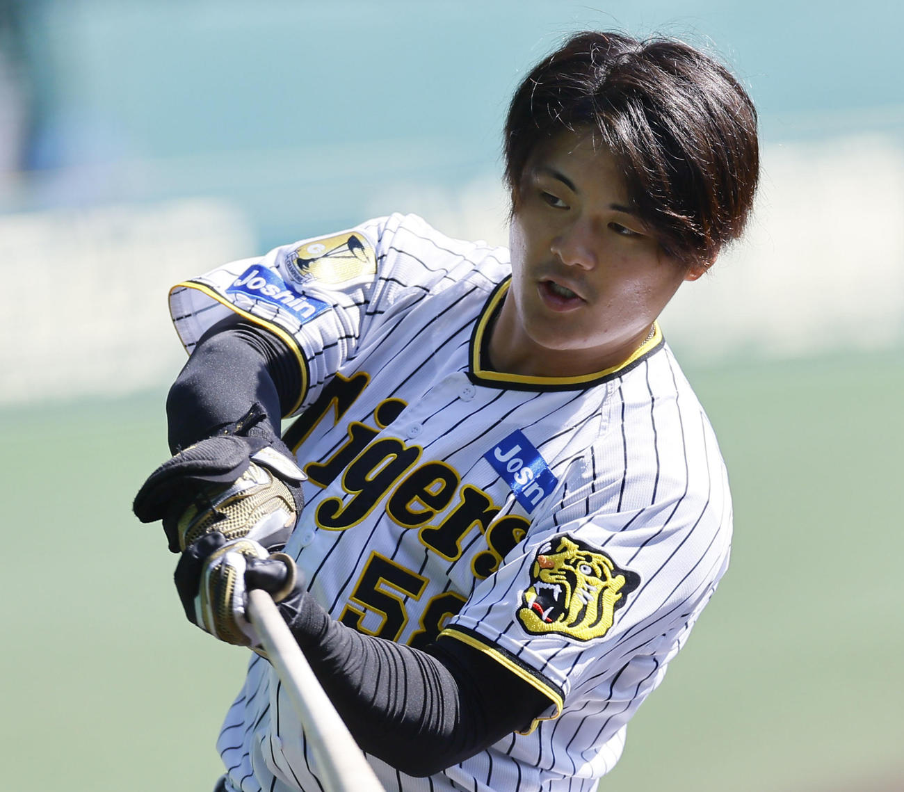 阪神前川右京（2024年10月11日撮影）