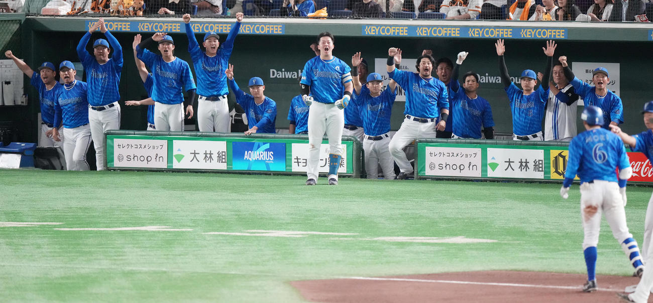 巨人対DeNA 5回表DeNA無死一塁、森敬の右適時三塁打に盛り上がるベンチ（撮影・鈴木みどり）