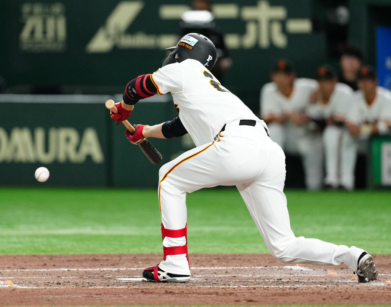 巨人対DeNA 4回裏巨人1死一、三塁、スクイズを決める戸郷（撮影・江口和貴）