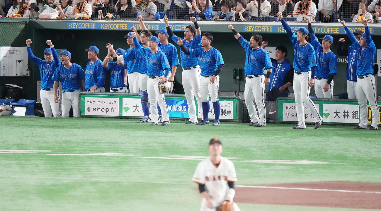 巨人対DeNA 9回表DeNA2死三塁、牧の左前適時打に盛り上がる三浦監督（左）らベンチ（撮影・鈴木みどり）