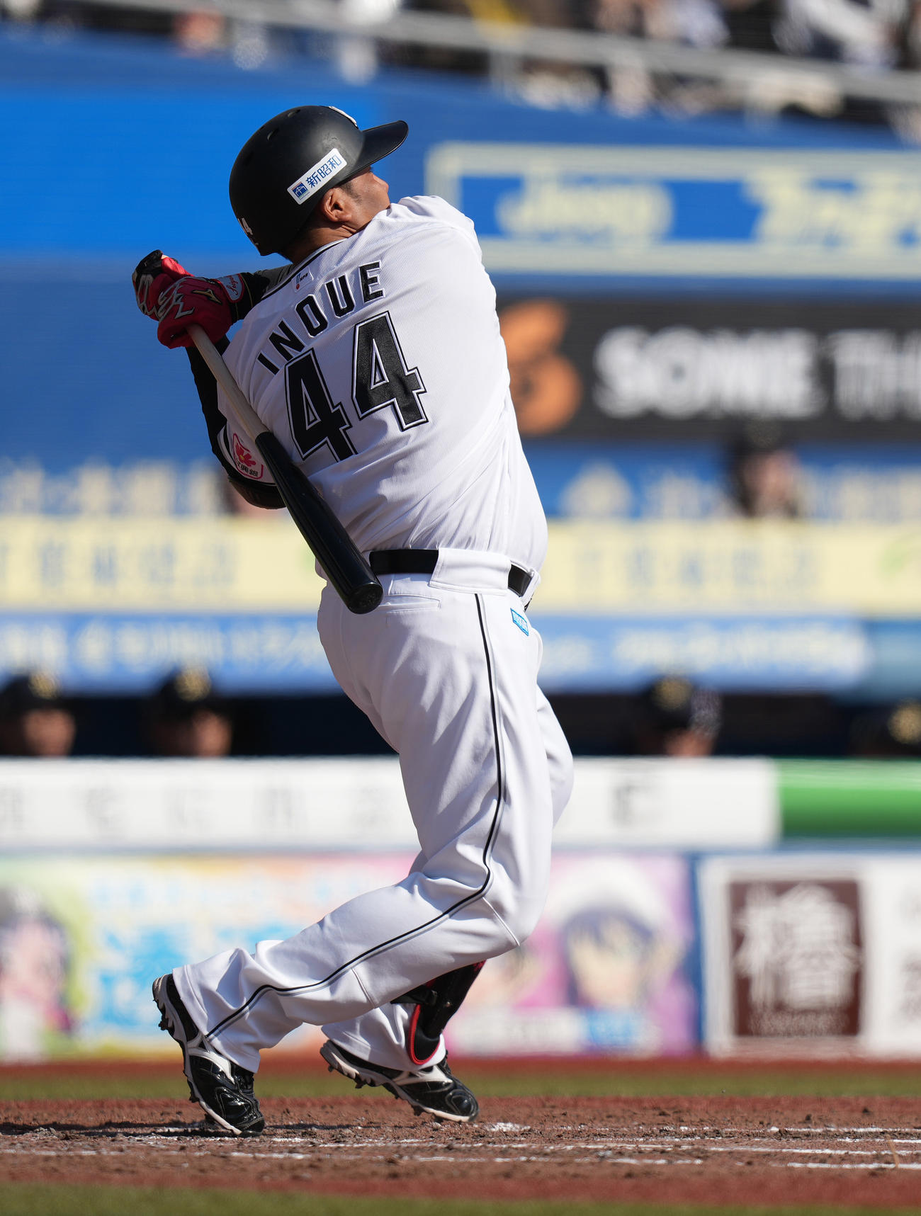 ロッテ井上晴哉（2024年3月撮影）