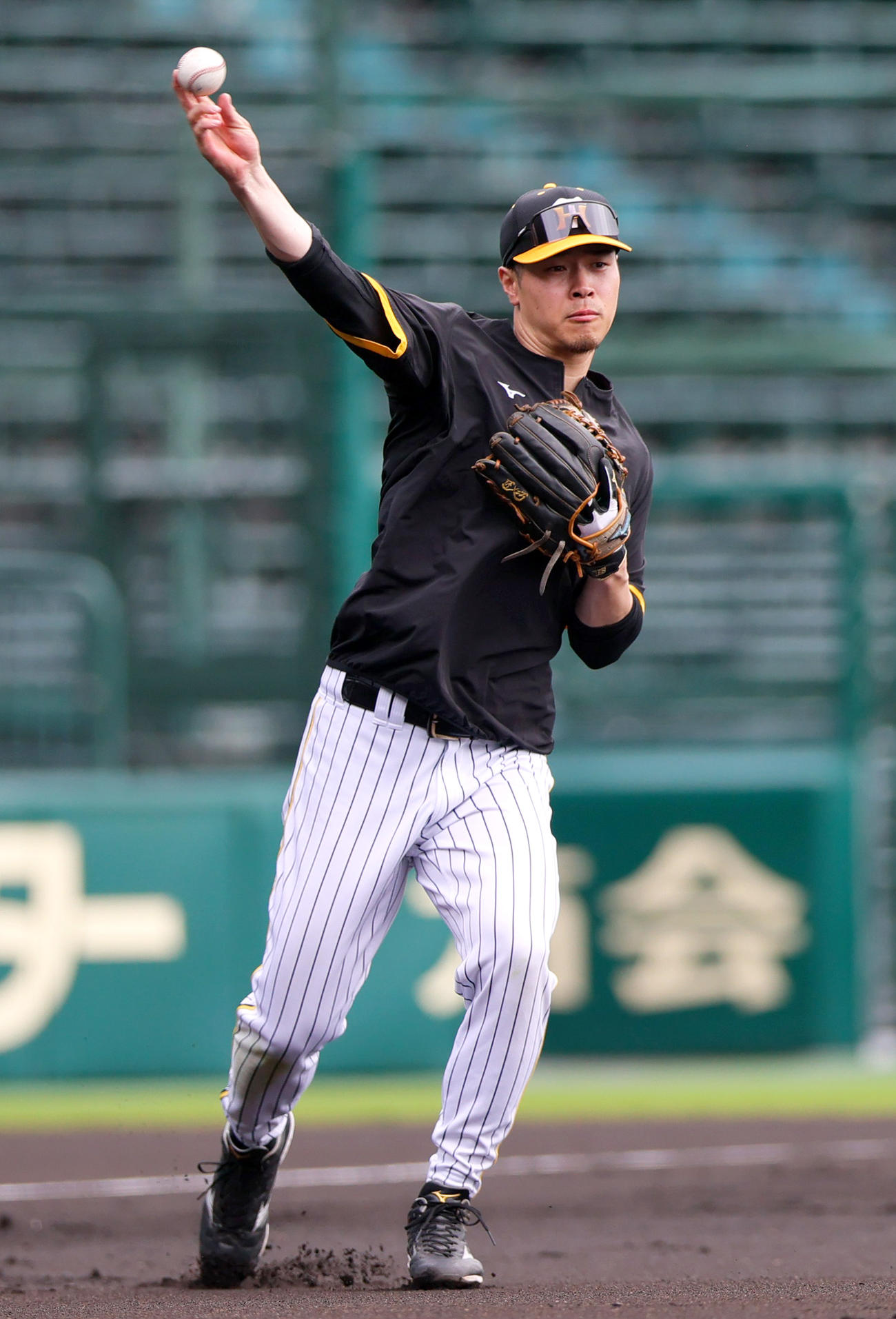 甲子園球場でノックを受ける阪神佐藤輝（撮影・上山淳一）