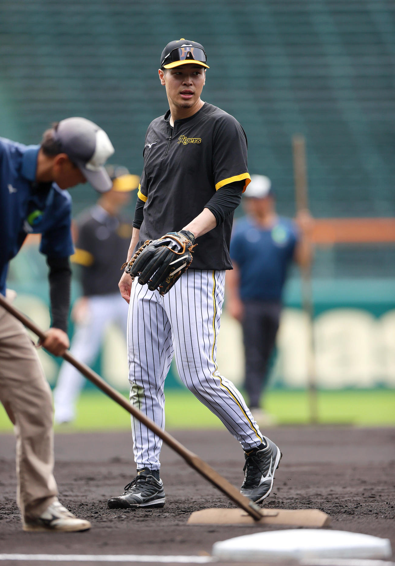 甲子園球場でノックを受ける阪神佐藤輝（撮影・上山淳一）