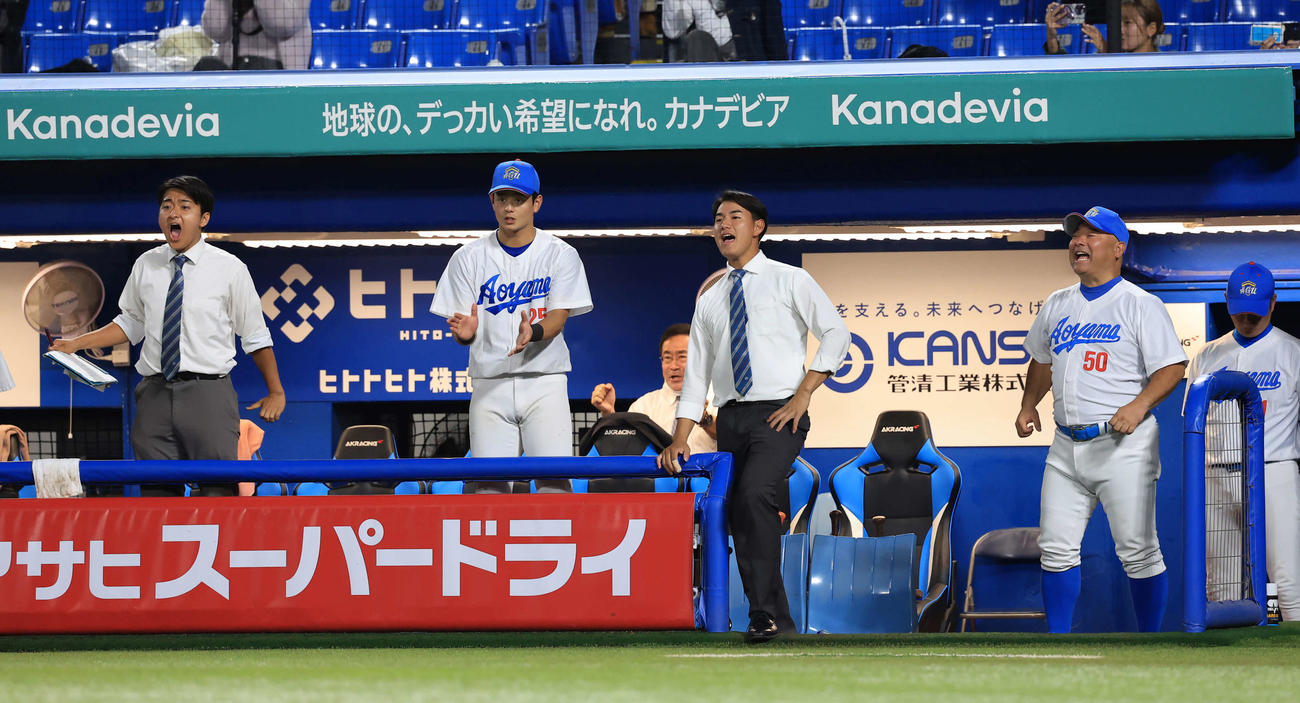 中大対青学大　優勝を決め、雄たけびを上げる西川（右から2人目）ら青学大ベンチ。右は安藤監督（撮影・浅見桂子）