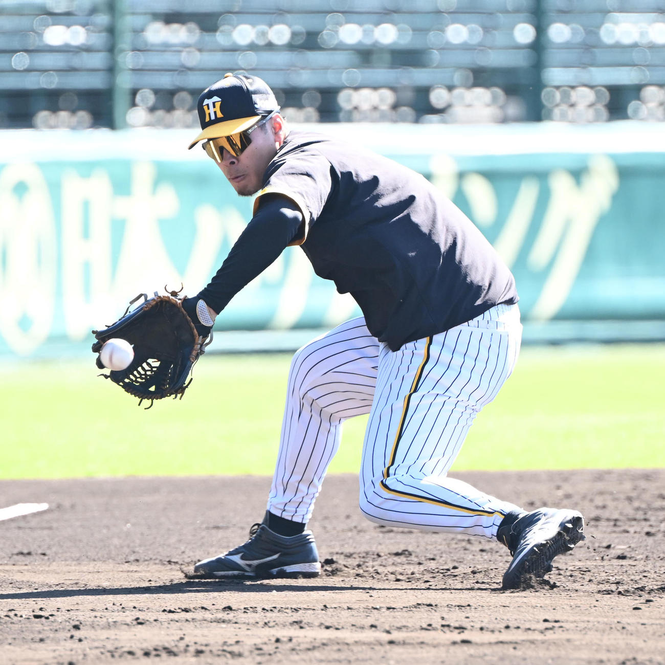 ノックを受ける阪神佐藤輝、左は渡辺（撮影・和賀正仁）