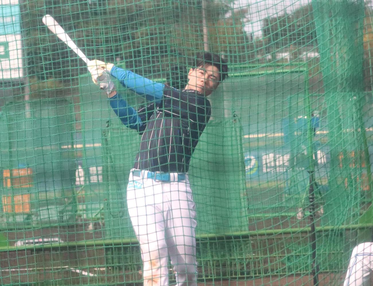 ティー打撃に励む日本ハム清宮